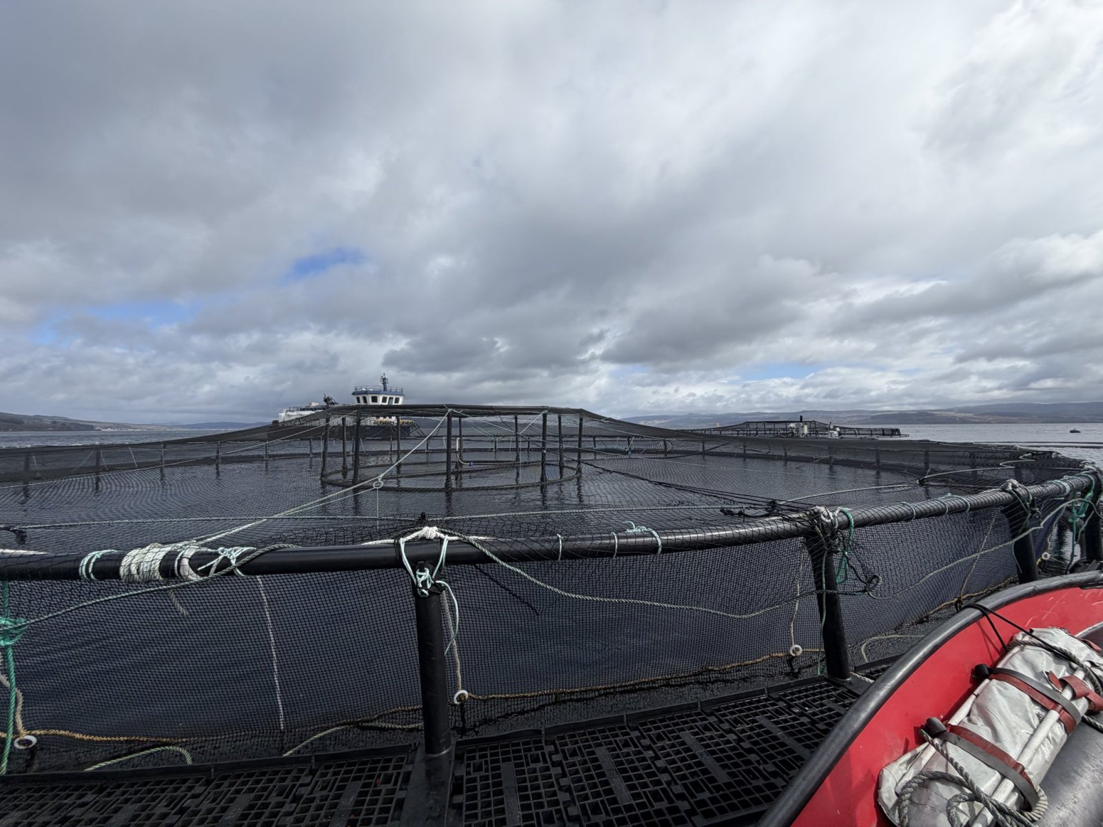 Consul General visited Bakkafrost salmon farms at Loch Fyne, witnessing Scotland’s world-class aquaculture sector.